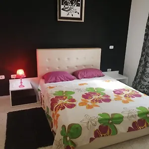 https://palmeraies-vacances-tunis.tunis-best-hotels.com
